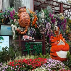 CHEN NIANG NIANG User Photo