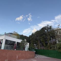 西昌術下飯店（邛海濕地公園月色風情小鎮店）·餐廳張用戶圖片