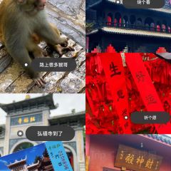 CHEN SHI REN JIA User Photo