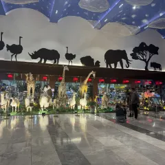 A HUA NONG ZHUANG User Photo