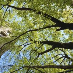 吴进平小食店 User Photo