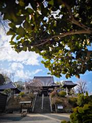 Fujitoji Temple