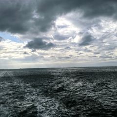 東湧碼頭海鮮火鍋（麥地店）張用戶圖片