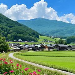 Mountain Restaurant張用戶圖片