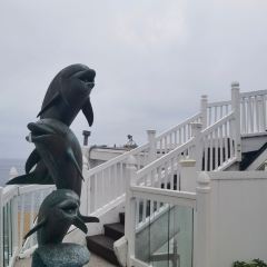 oak Laguna Beach張用戶圖片