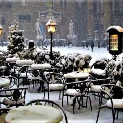 鮮入圍煮張用戶圖片