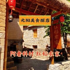 红稻农家 User Photo