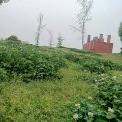 李久其家民间餐厅(白沙液古街店) 여행 사진