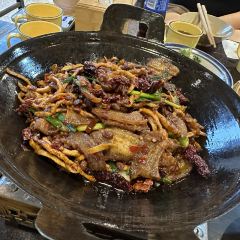QIAN DA SHU DA PAI DANG User Photo