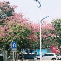 講口緣腸粉張用戶圖片