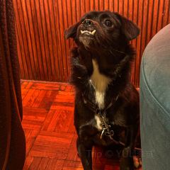 DOZO SAKE BAR User Photo