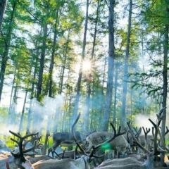 AO LU GU YA User Photo