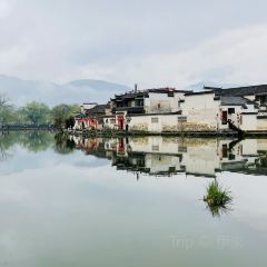 宏村得月楼(月沼店) User Photo