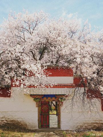 Choding Monastery