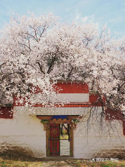 Qingduo Temple