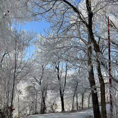 金秋鱼餐馆 User Photo