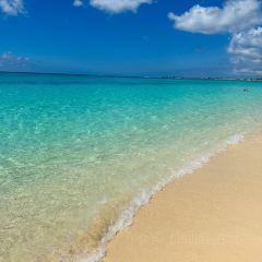 The Cracked Conch by the Sea User Photo