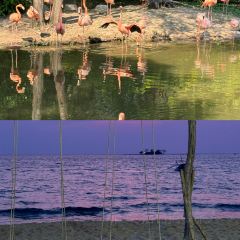 Ganesh Indian Restaurant Phu Quoc User Photo