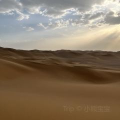 可爱的那拉提 User Photo