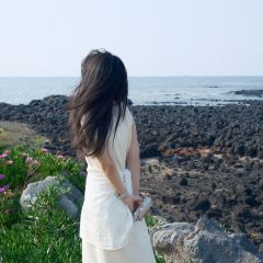 팀블로우 여행 사진