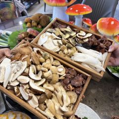 Shan jun wang  (baohai) 여행 사진