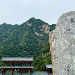 灶台鱼(自强街总店) User Photo
