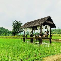 YE PO COFFEE User Photo