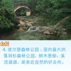WEN XIN CHA ZHUANG YUAN User Photo