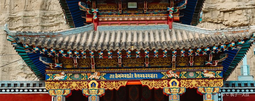 la mao zhi he si