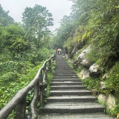 老萍巷·莲花血鸭(步行街店) User Photo