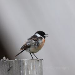 禾木老村山庄 User Photo