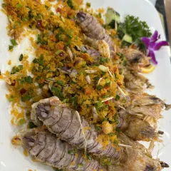 小海豚海鲜广场(清水湾店) User Photo