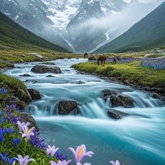 特色羊排揪片子清真張用戶圖片