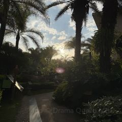 西波魚莊張用戶圖片