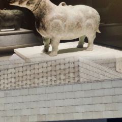 Haidailou Zhongshuge WHISKY BAR User Photo