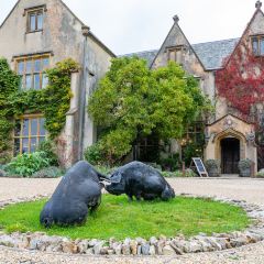 The Pig - at Combe User Photo