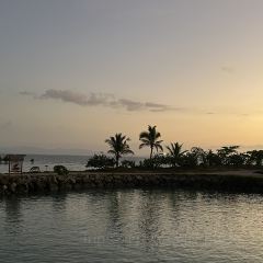 The Boatshed Restaurant ảnh của người dùng
