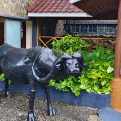 Seasons Elementaita Country Lodge User Photo