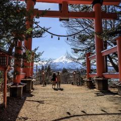 Fujiyama Cookie User Photo