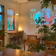 樹Cafe張用戶圖片