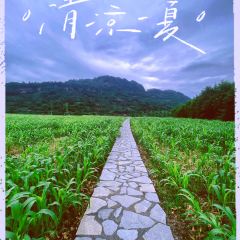 点将台庄园火锅 User Photo