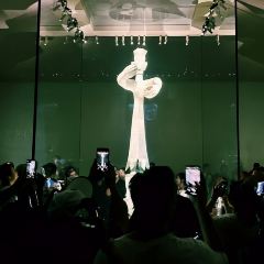 Orangutan Bunker User Photo