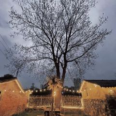 慢时光花园音乐餐厅 User Photo