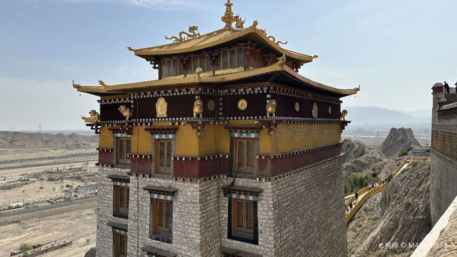 苏子拉面(钻石城店)