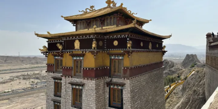 蘇子拉麪早茶羊雜碎體驗中心（鑽石城店）