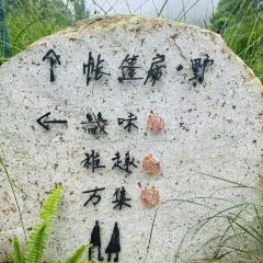 杭州桐廬康萊德酒店中餐廳·樂張用戶圖片