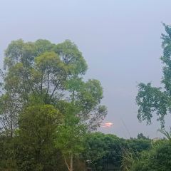 鑫金川鱼庄 User Photo