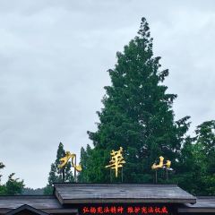 鸿运楼·舌尖上的徽菜 여행 사진