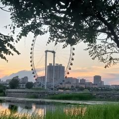 南湖夜市 User Photo