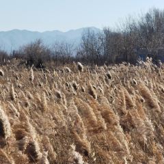 观湖台 User Photo